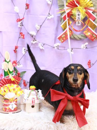 20230115モカちゃん